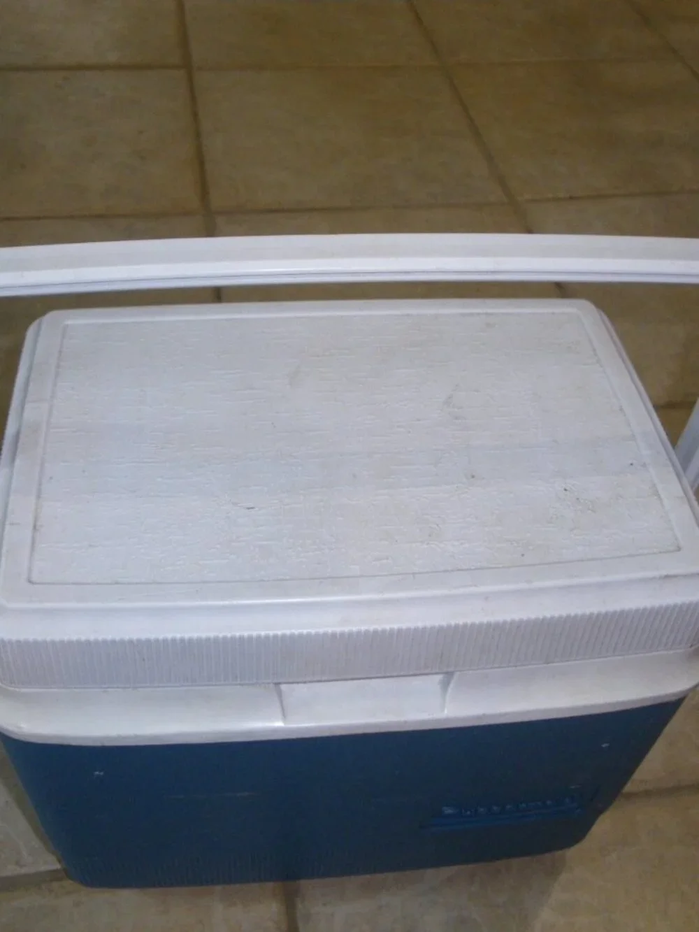 Vintage Rubbermaid Medium-Sized Personal Cooler Model 1910 6+ Pack Made in USA